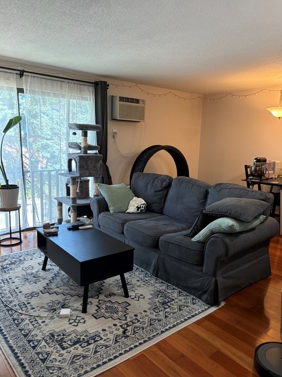 172 River St #3b, Waltham, MA 02453