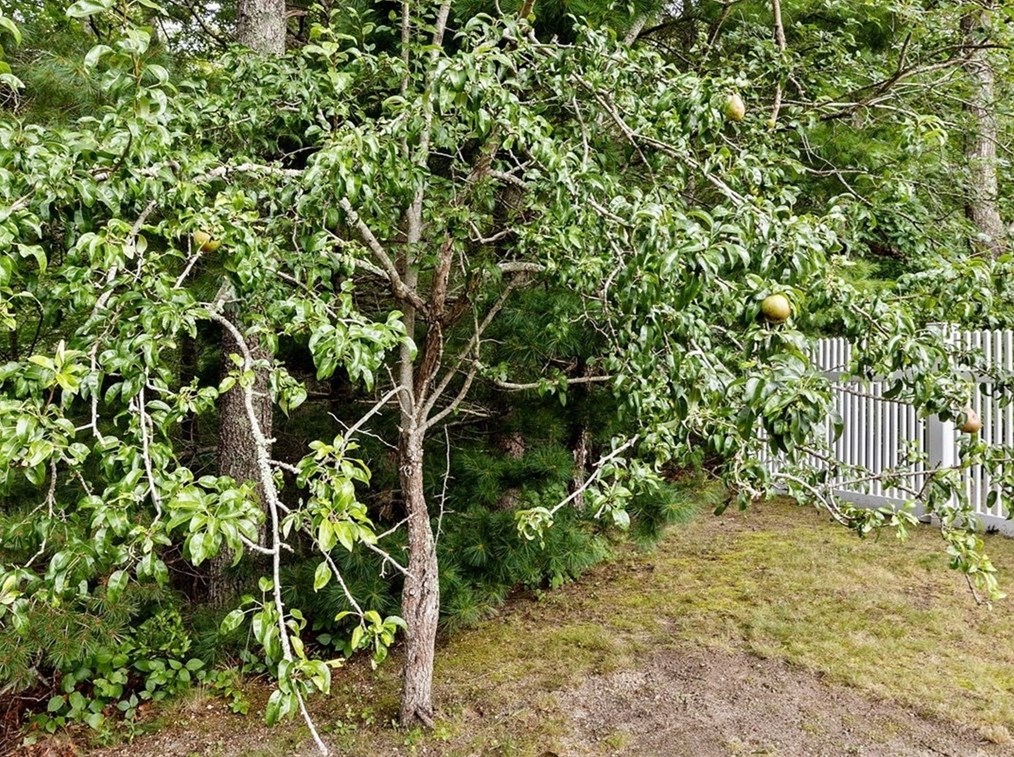 1714 State Rd, Plymouth MA  02360-7106 exterior