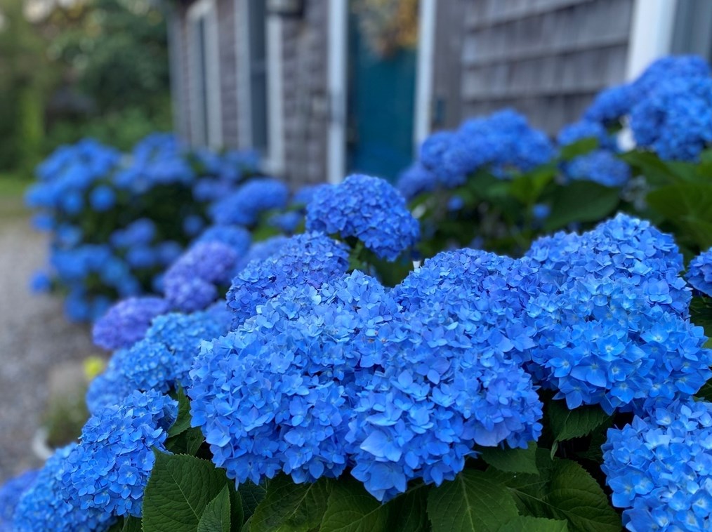 130 Helm Rd, Eastham, MA 02642