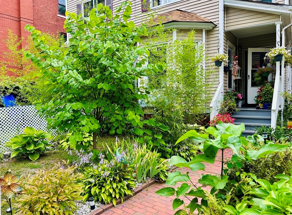 95-97 Pine St, Springfield, MA 01105