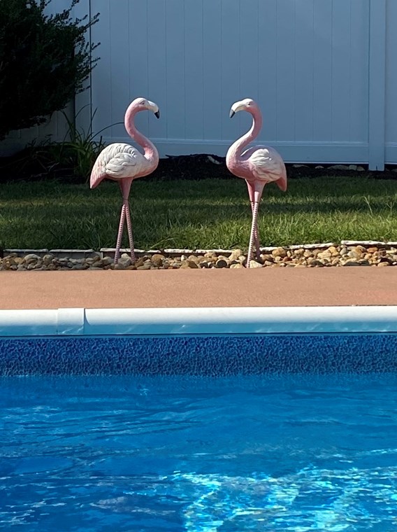 57 Alice St, Dartmouth MA 02747-1915 exterior