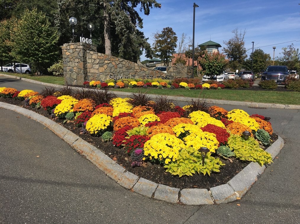 1002 Paradise Rd #2-a, Swampscott, MA 01907