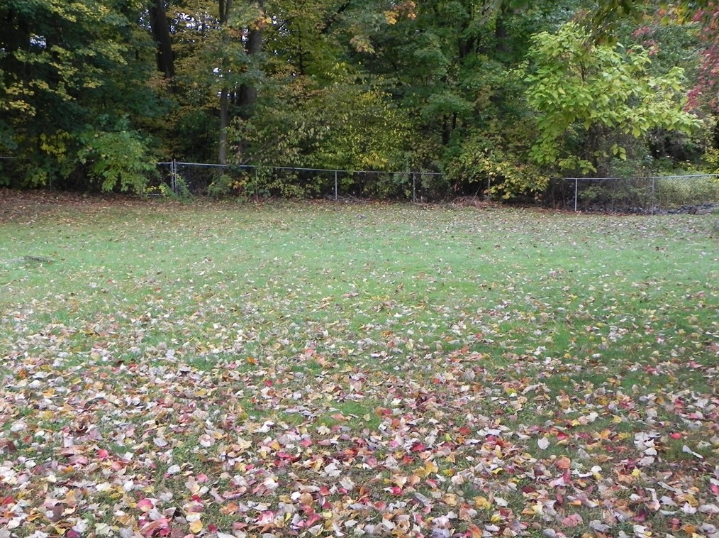 203 Michigan Ave, Holyoke MA 01040-1148 exterior