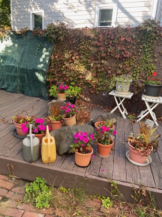 81 Wendell St #a, Cambridge, MA 02138