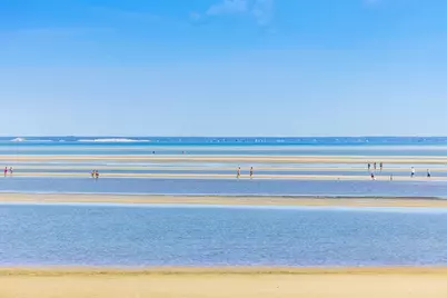 240 Robbins Hill Road, Brewster, MA 02631 - Photo 8