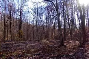 474 Mountain Rd, Wilbraham, MA 01095 - Photo 1