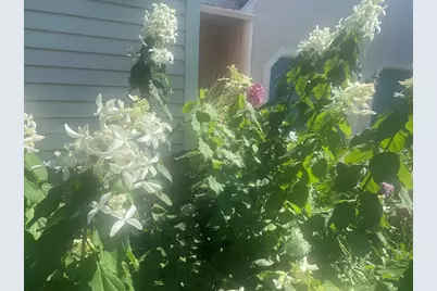 17 Robin Rd, West Newbury, MA 01985 - Photo 36