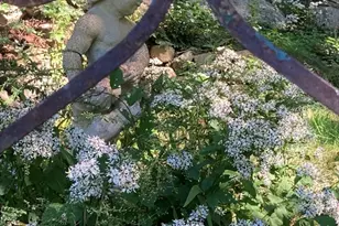 1150 Russells Mills Rd, Dartmouth, MA 02748 - Photo 26