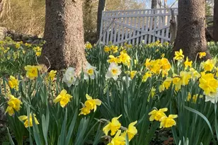 1150 Russells Mills Rd, Dartmouth, MA 02748 - Photo 22