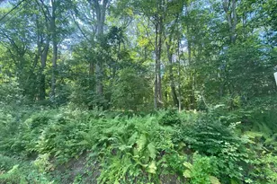 Lot 2R 3 Chapin Rd, Hampden, MA 01036 - Photo 1