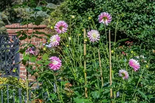 429 Summer St, Westwood, MA 02090 - Photo 28