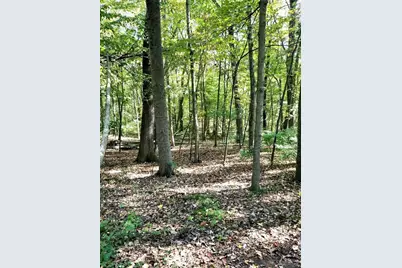 0 Red Gate, Amherst, MA 01002 - Photo 2