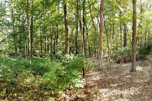 0 Red Gate, Amherst, MA 01002 - Photo 1