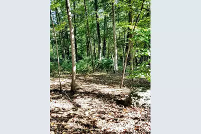0 Red Gate, Amherst, MA 01002 - Photo 6