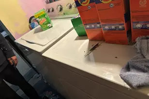 9 Carter St, Everett, MA 02149 - Photo 10