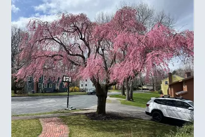 14 Lilac Circle, Wellesley, MA 02482 - Photo 34