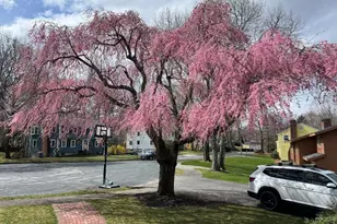 14 Lilac Cir, Wellesley, MA 02482 - Photo 34