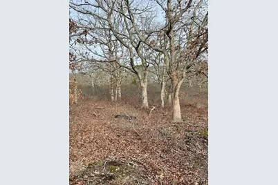 22 Bramble Path, West Tisbury, MA 02575 - Photo 1