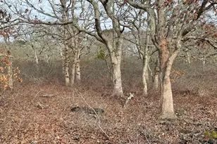 22 Bramble Path, West Tisbury, MA 02575 - Photo 1