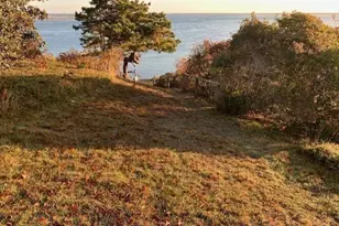 238 Cranberry Ln, Chatham, MA 02633 - Photo 8