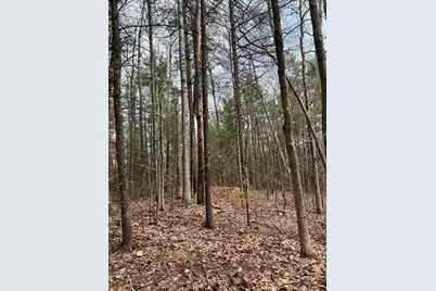 Lot 1 Monson Turnpike Road, Ware, MA 01082 - Photo 10