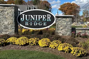 12 Elise Ave, Londonderry, NH 03053 - Photo 1