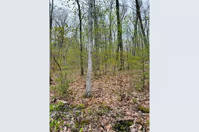 48 Mill Rd Lot 2E, North Brookfield, MA 01535 - Photo 2