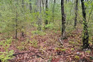 48 Mill Rd Lot 2E, North Brookfield, MA 01535 - Photo 1