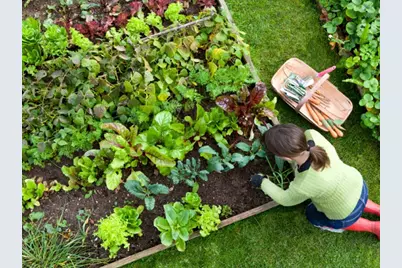 265 Monponsett Street #2203, Halifax, MA 02338 - Photo 28