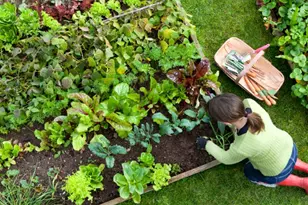 265 Monponsett St, Halifax, MA 02338 - Photo 28