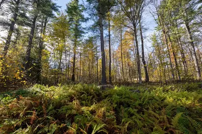 0 Sears Road, Ashfield, MA 01330 - Photo 16