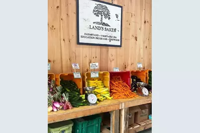 49 Newton St, Weston, MA 02493 - Photo 38