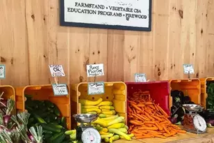 49 Newton St, Weston, MA 02493 - Photo 38