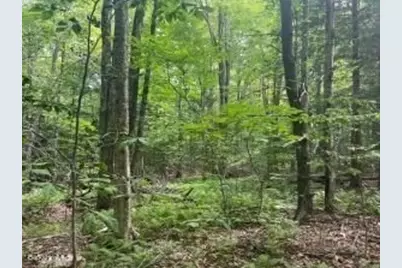 0 Johnnycake Hill Rd, Middlefield, MA 01243 - Photo 4