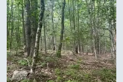 0 Johnnycake Hill Rd, Middlefield, MA 01243 - Photo 6