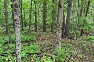 0 S Royalston Rd, Royalston, MA 01368 - Photo 1