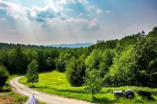 15 Stephanie Ln, Peru, MA 01235 - Photo 30