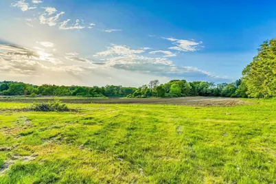 241 Shadyside Avenue, Concord, MA 01742 - Photo 6