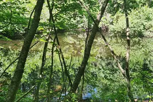 134 Mountain Rd, Princeton, MA 01541 - Photo 28