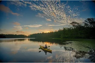 17 Trumpet Vine, Plymouth, MA 02360 - Photo 18