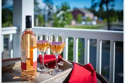 17 Trumpet Vine, Plymouth, MA 02360 - Photo 14