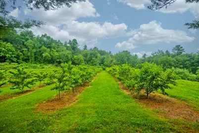 336 Russellville Road, Westfield, MA 01085 - Photo 18