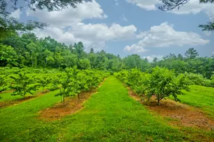 336 Russellville Rd, Westfield, MA 01085 - Photo 18