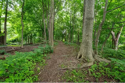 63 Adams St, Danvers, MA 01923 - Photo 12