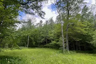 477 Mohawk Trail, Florida, MA 01343 - Photo 4