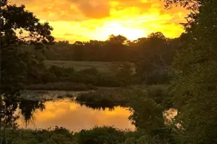 52 Willow St, Dover, MA 02030 - Photo 40