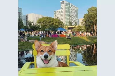 2 Earhart Street #714, Cambridge, MA 02141 - Photo 20