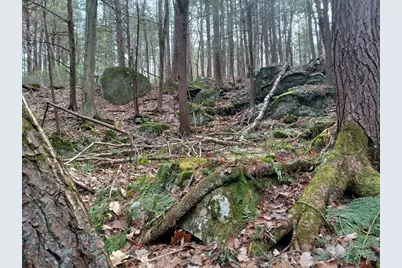 296 Northwest Road, Westhampton, MA 01027 - Photo 2