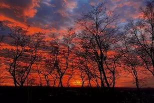 182 Palfrey St, Watertown, MA 02472 - Photo 36