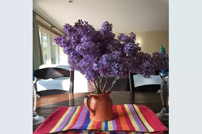 27 Beach Plum Lane, Chilmark, MA 02535 - Photo 4